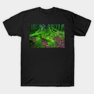 Moss covered tree T-Shirt